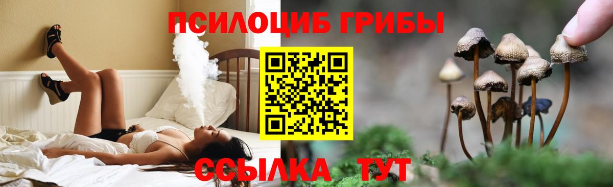 Галлюциногенные грибы Psilocybe  Вход с VPN  цены наркотик  Кудымкар  Псилоцибиновые грибы Magic Shrooms 